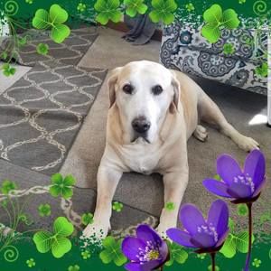 Meet your Posher, Anne